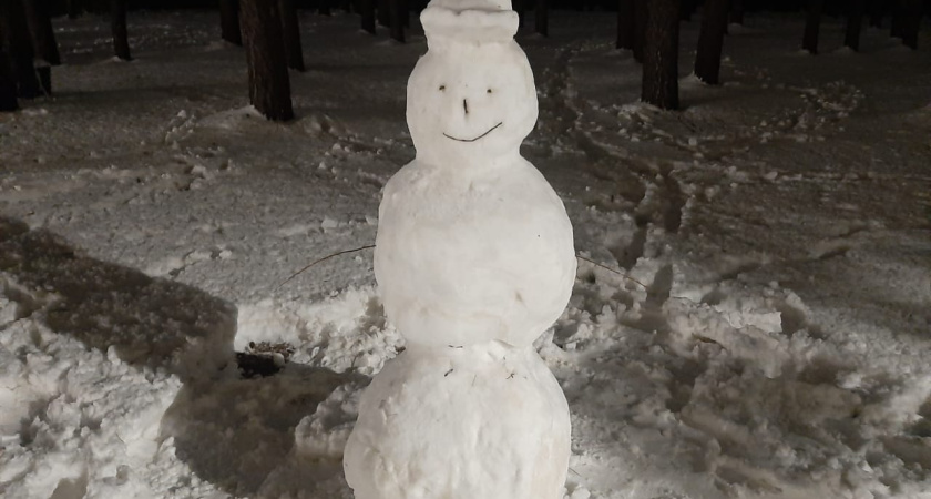 Снег, метель, гололедица, снежные заносы
