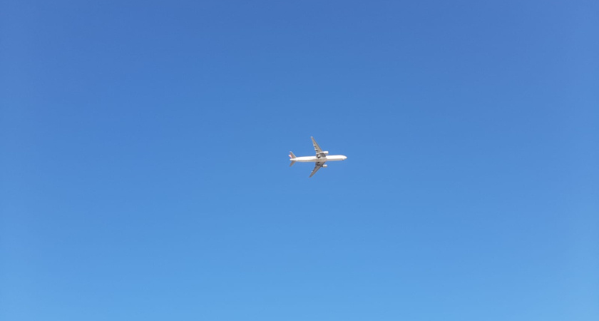 В этом году из Челнов выдворено 222 человека 