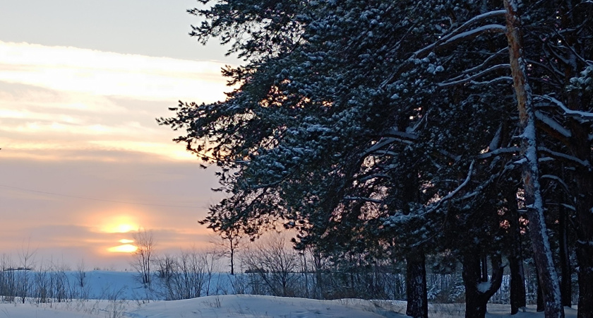 Ближе к выходным снег, метель, сильный ветер