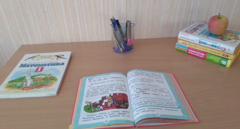 Учат не в школе: как представлено семейное обучение в Челнах