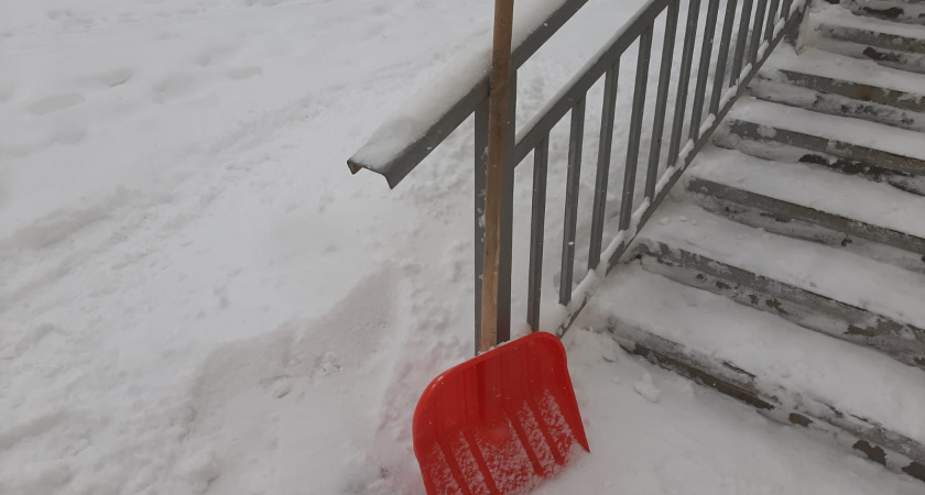  «Если 500 тыс. челнинцев выйдут с лопатами, снегу конец!»