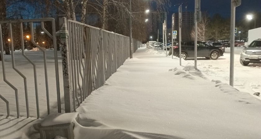 «Весной такая же история была, пока сами не проложили козью тропинку»