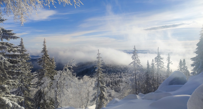 Татарстанцев в ближайшие дни ожидает мокрый снег