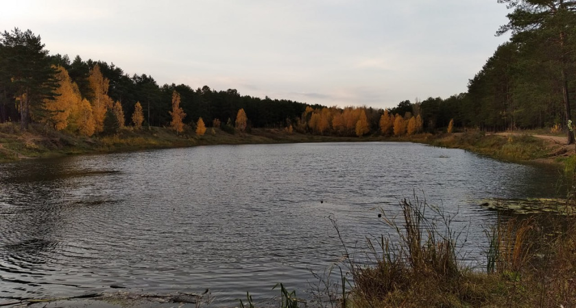 Как изменится территория озера Лесного в "Прибрежном"