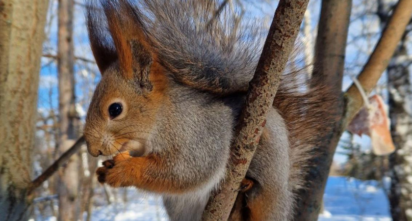 Куда сходить в Челнах в каникулы: кино, концерты, парки
