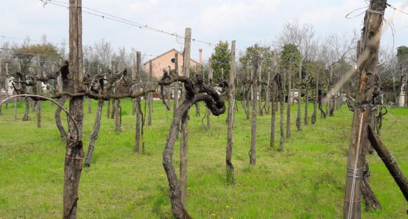 Доходы от аренды имущества в Татарстане выросли вдвое