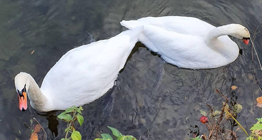 Менделеевск победил в конкурсе моногородов России
