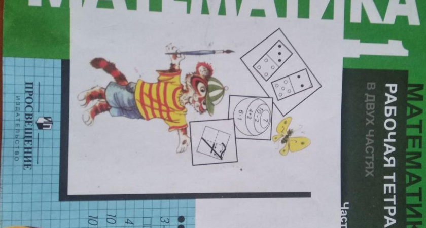 Школьник из Челнов стал призером международной Олимпиады по математике