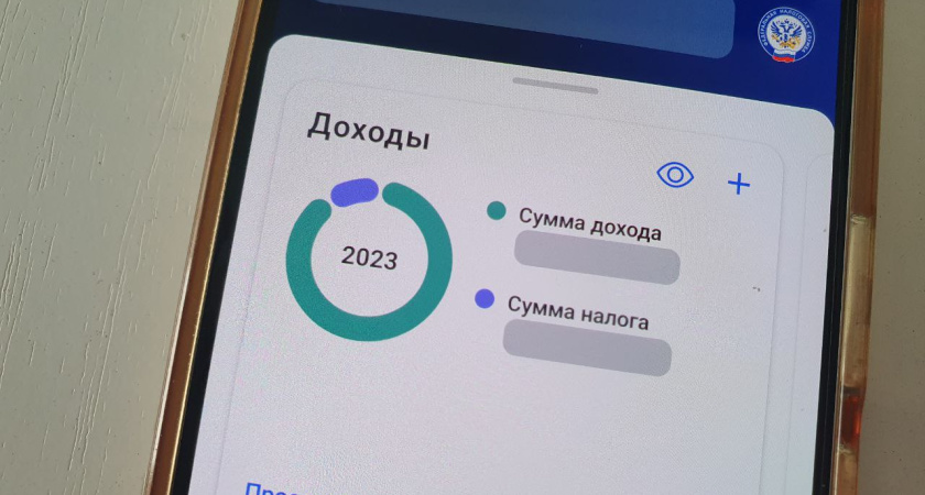 В Татарстане 5,4 тыс. человек зарабатывают более 5 млн рублей в год
