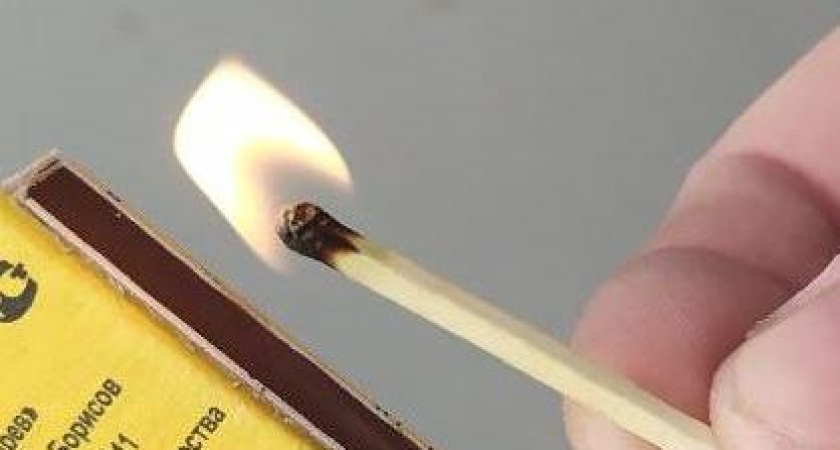 Лисички и спички: как пожары убивают обитателей лесов