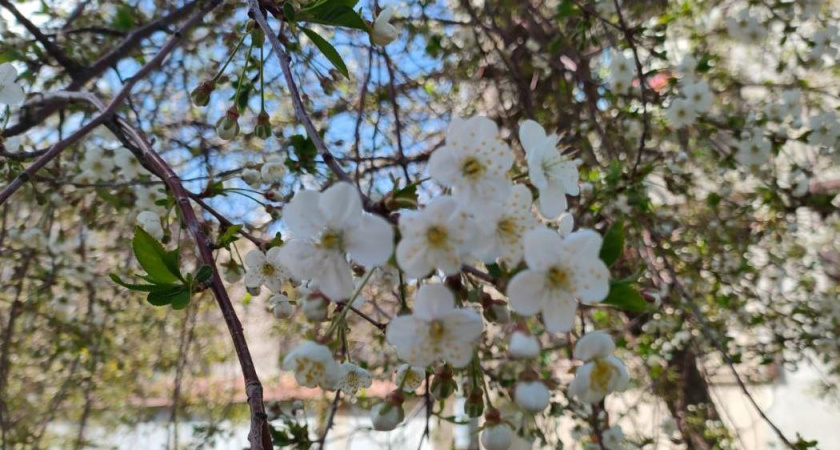 Жители Татарстана уходят на майские каникулы