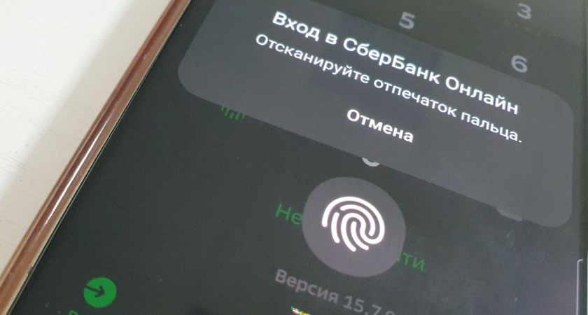 В Челнах пассажир похитил деньги у водителя такси