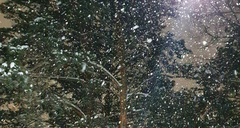 Жителей Татарстана предупредили о возможном снеге