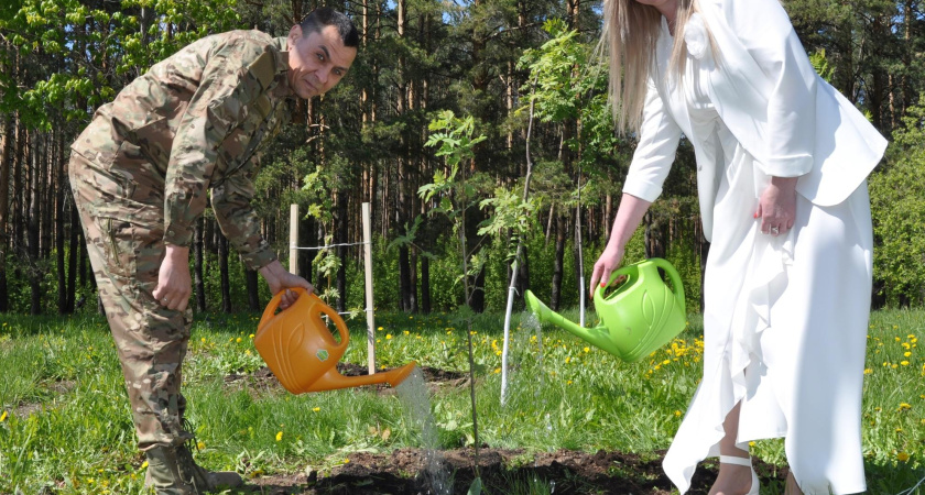 Татарская кухня и рябина: в Челнах отметили День семьи