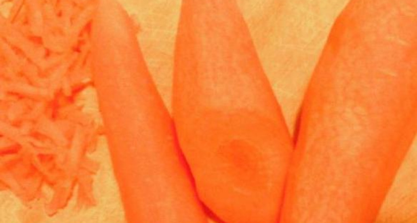 Алиментщик из Татарстана привез сыну мешок моркови вместо долга в 2 млн рублей