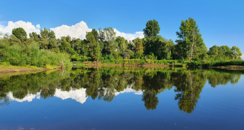 В Татарстане осудили директора водохранилища 