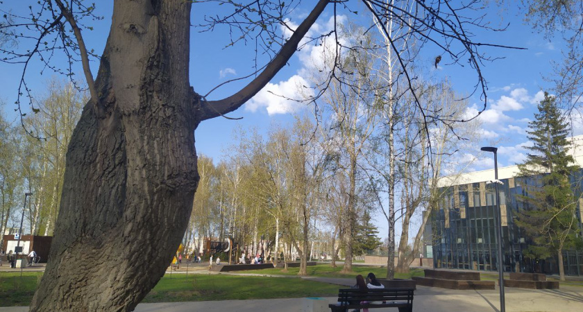 Выходные в Челнах: куда пойти 25 и 26 мая