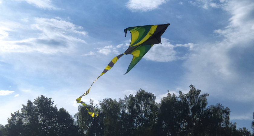 В Челнах провели фестиваль воздушных змеев (фото)