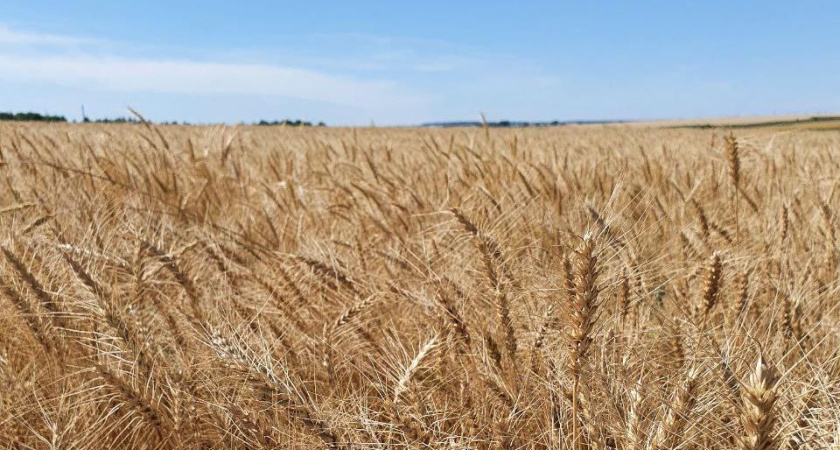 С начала года 380 семей Татарстана оформили сельскую ипотеку