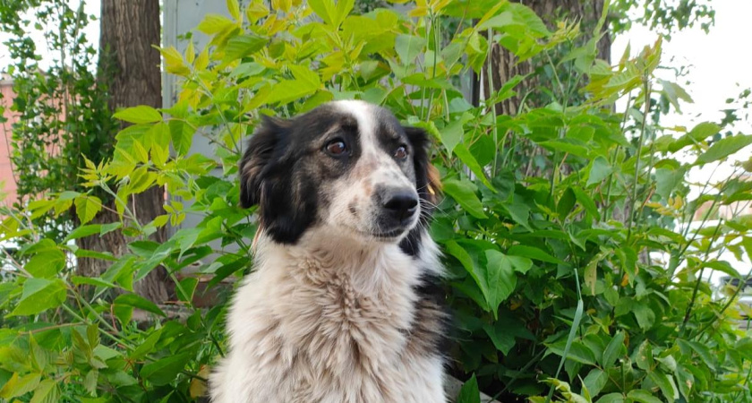 В Татарстане объявлено штормовое предупреждение из-за жары