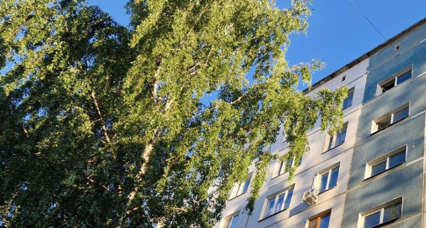 Суд взыскал с Исполкома Челнов 94 тыс. рублей за упавшее на автомобиль дерево