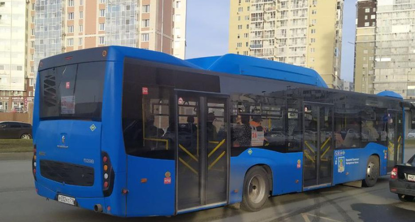 Жителей Челнов просят оценить качество пассажирских перевозок