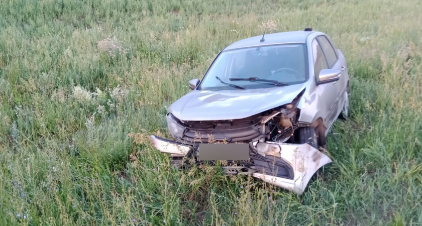 На трассах Татарстана сбили двух кабанов и косулю 