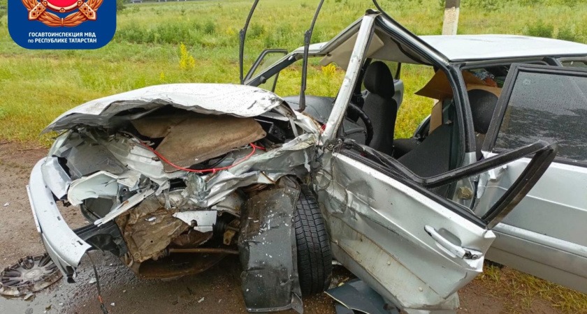 В Нижнекамске три человека и кот пострадали в ДТП (фото)