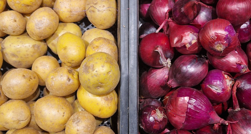 В Татарстане резко подорожал картофель – цены выросли на 19%