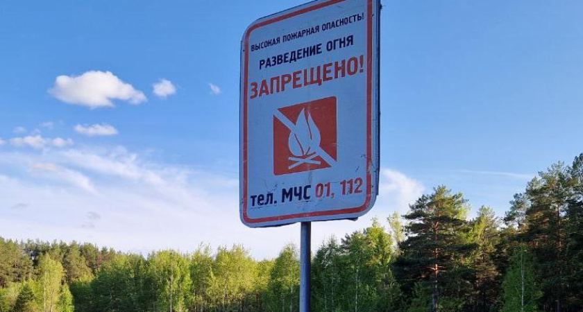 Штормовое предупреждение из-за высокого риска пожаров объявлено в Татарстане