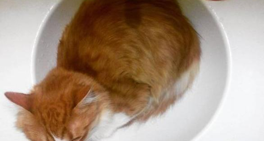 График отключения горячей воды в Челнах со 2 июля