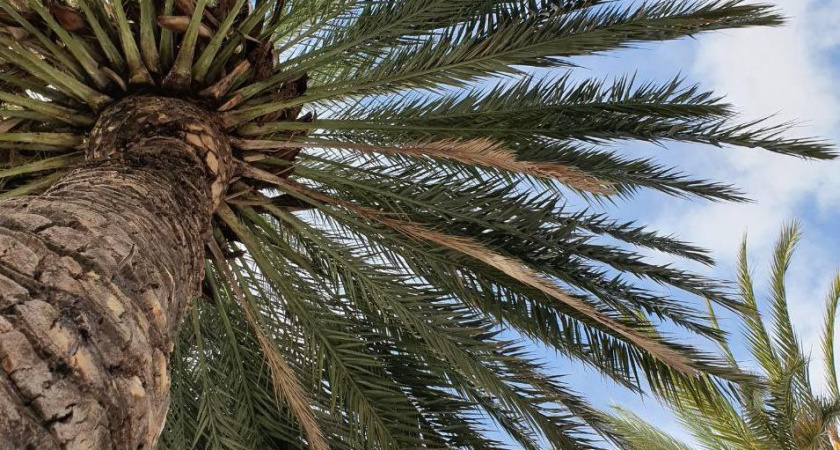 Температура в Челнах поднимется до плюс 35 градусов