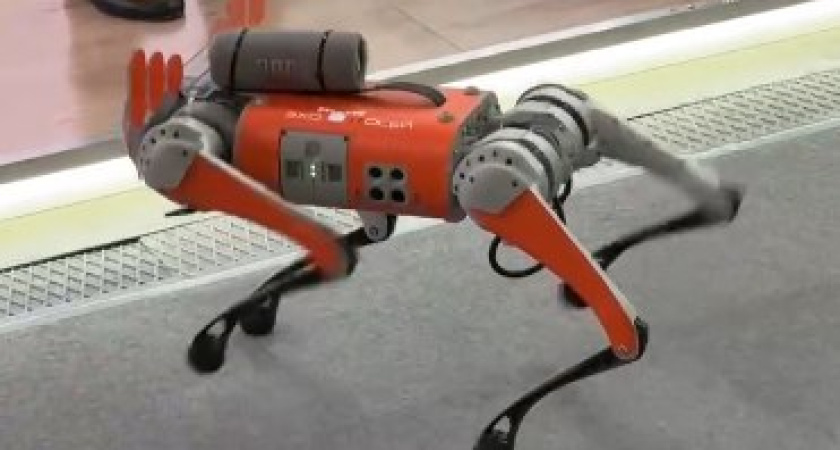 Робот-пес из Татарстана исполнил на Иннопроме татарскую плясовую (видео)