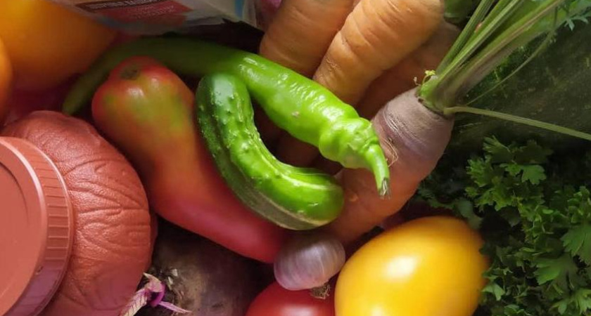 В Татарстане снова подорожал картофель