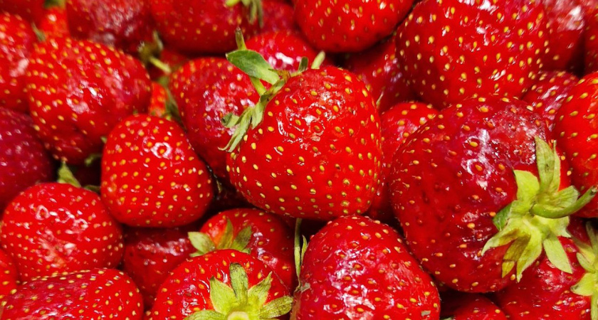 В соцсетях распространяется фейк о фестивале клубники в Челнах