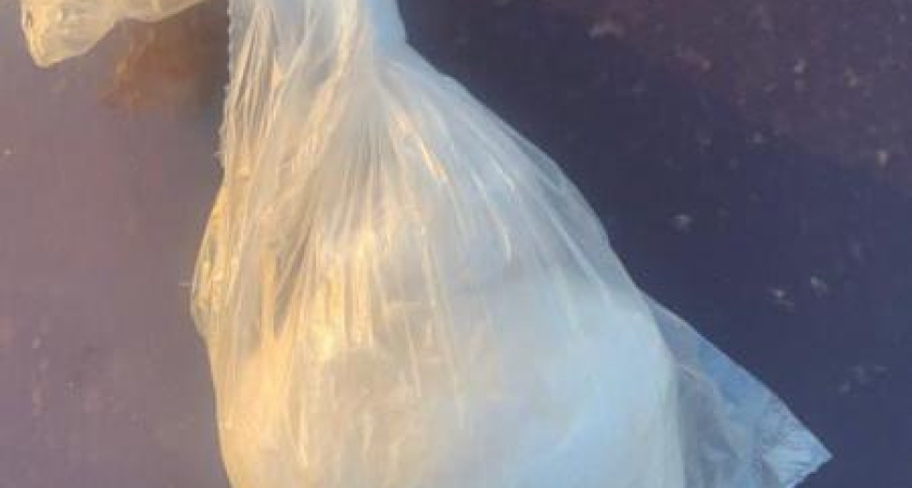 Инспекторы ГАИ обнаружили в машине челнинца 131 грамм «синтетики»