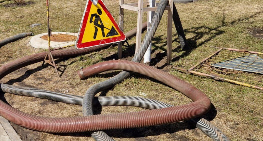 В Челнах в подвале дома обнаружили блох 