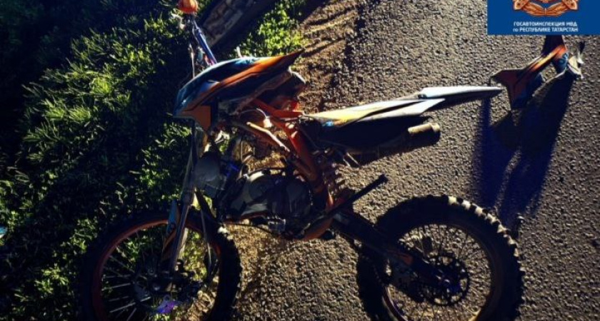 В Татарстане подросток на питбайке столкнулся с лошадью – мальчик погиб