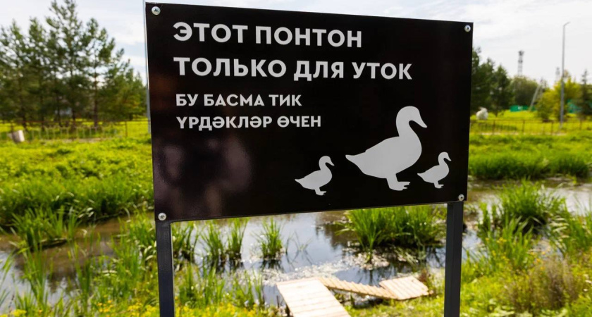 На Каскаде прудов в Альметьевске оборудовали понтон для уток