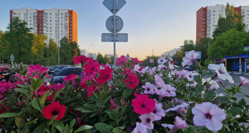 Выходные в Челнах: куда пойти 24 и 25 августа