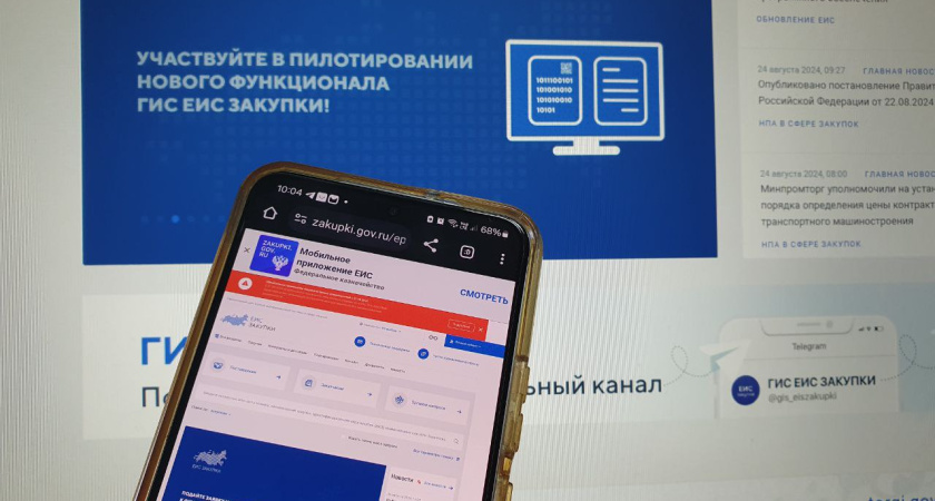 1,5 млрд рублей за полгода стоили бюджету госзакупки в Татарстане