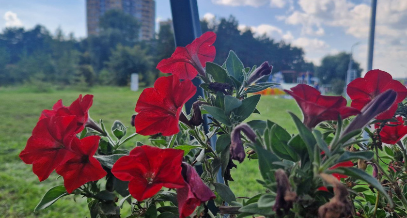 Выходные в Челнах: куда пойти 30, 31 августа и 1 сентября