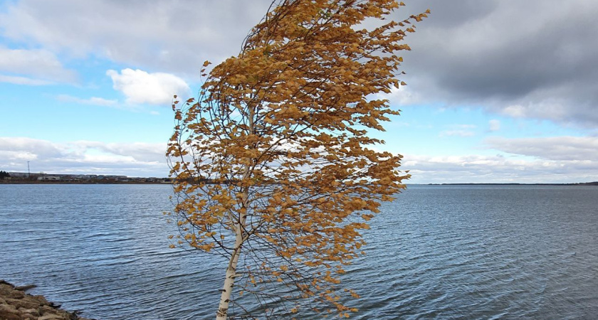 Жителям Татарстана обещают заморозки до 0 градусов