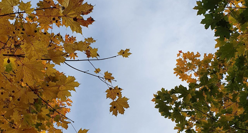 Жителей Татарстана ждет жара до 29 градусов