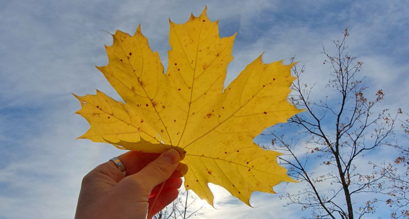 Выходные в Челнах: куда пойти 14 и 15 сентября