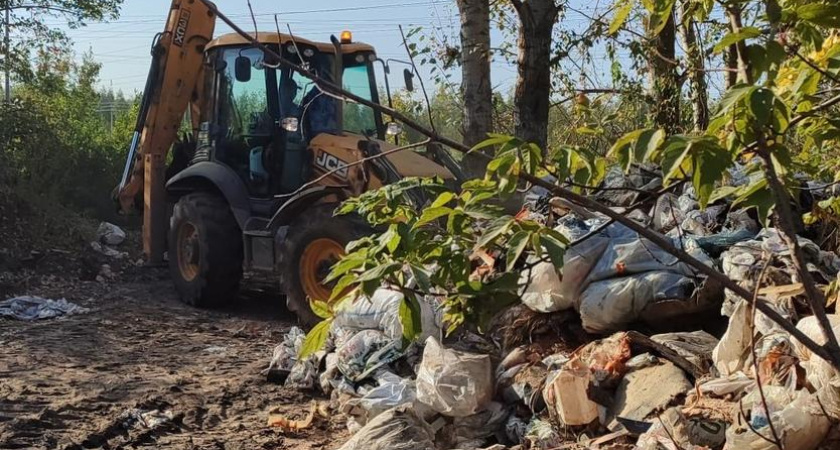 19 грузовиков с мусором вывезли с незаконной свалки в Челнах