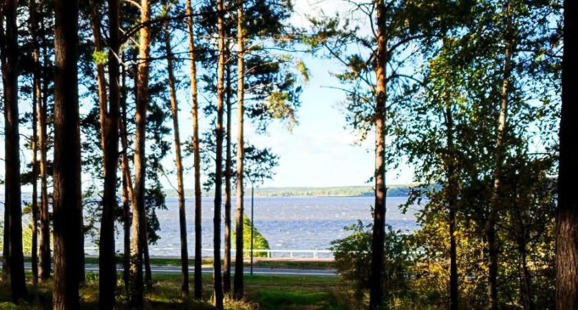 Выходные в Челнах: куда пойти 28 и 29 сентября