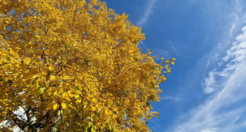 Теплая погода в Челнах продержится еще неделю