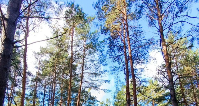 В Татарстане объявили штормовое предупреждение из-за риска пожаров