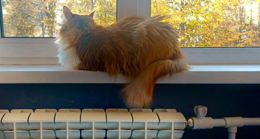 Большинство управляющих компаний Челнов получили разрешение на пуск тепла